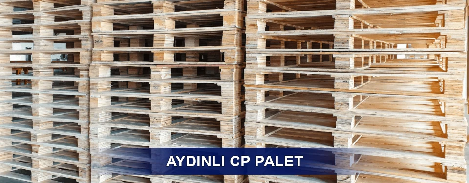 Aydınlı Standart Tipler