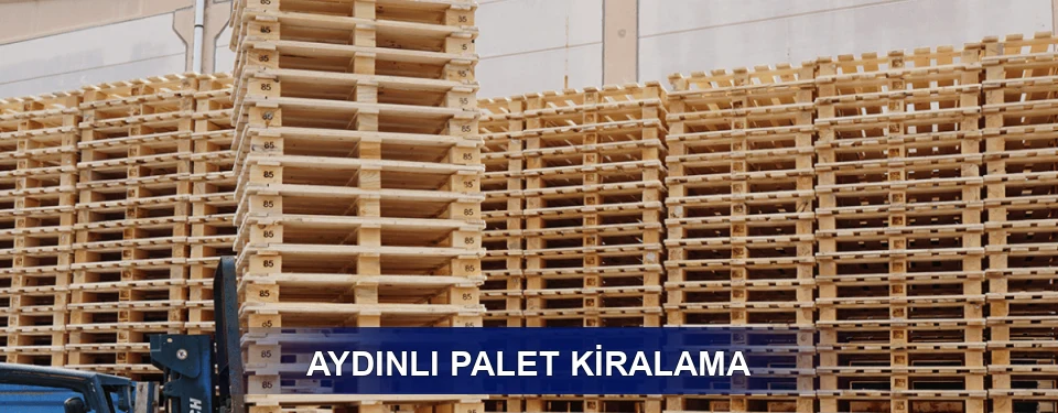 Aydınlı Uzun Dönem